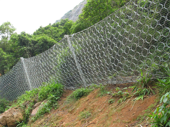 環（huán）形邊坡防護網