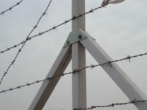 微信圖（tú）片_20260116102206_790_52.png